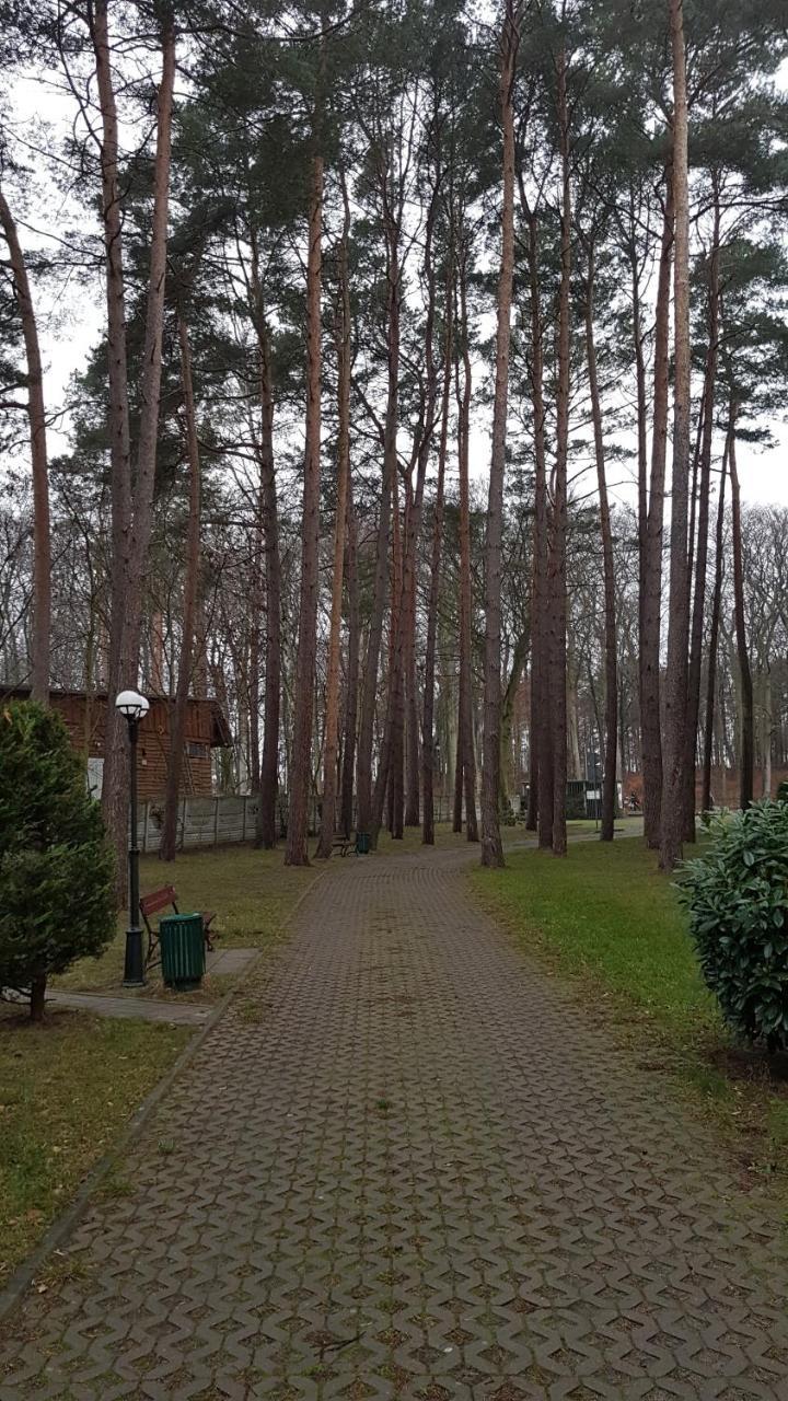 Apartament Maria Miedzyzdroje Bagian luar foto